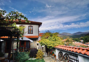 Iliikova House